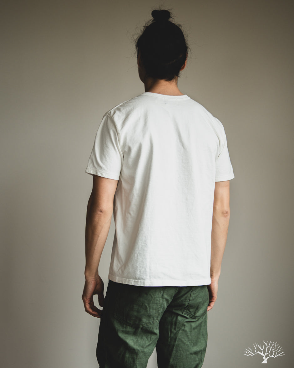 Studio d'Artisan - Suvin Gold Loopwheel Short-Sleeve Tee - White