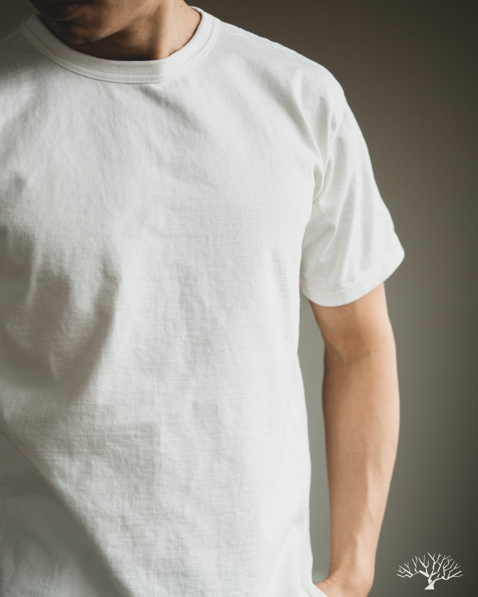 Studio d'Artisan - Suvin Gold Loopwheel Short-Sleeve Tee - White ...